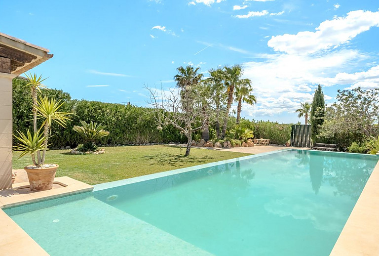 Garten mit Palmen und Pool