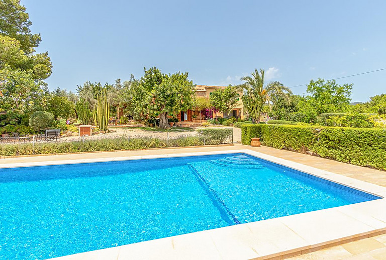 Hecken und Pflanzen am Pool vor der Finca