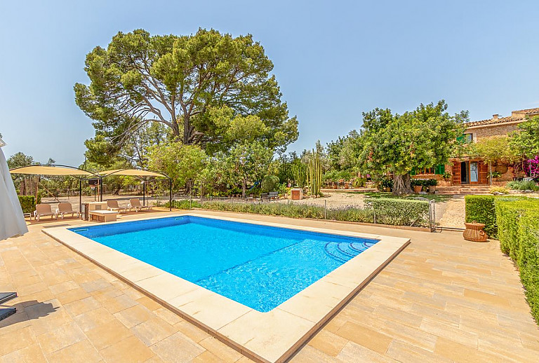 Bäume im Garten am Pool vor der Finca