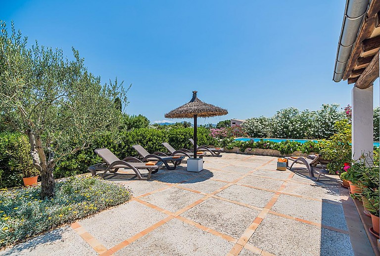 Aussenbereich Rasen Kakteen Pool