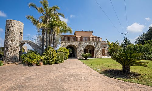 Finca Palmen Rasen Turm