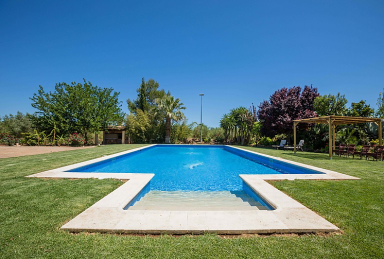 Pflanzen Pool Treppe Sonnenliegen