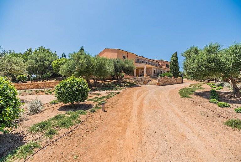 Finca Mallorca Manacor 12 Personen