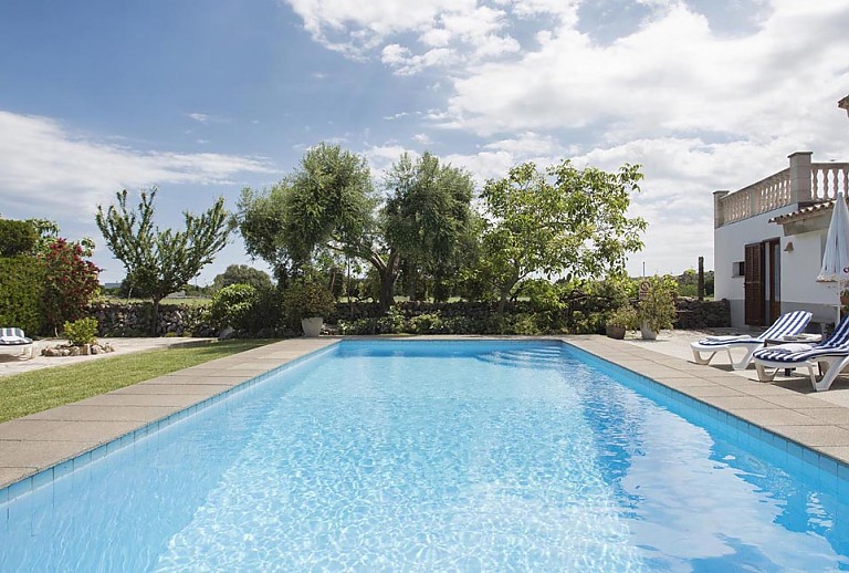 Schwimmbecken im Garten mit Rasen und Hecke