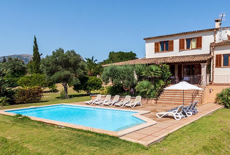 Garten mit Pool Rasen und Bäumen