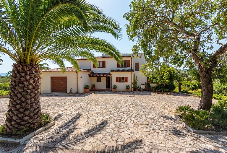 Vorplatz vor der Finca mit Palmen