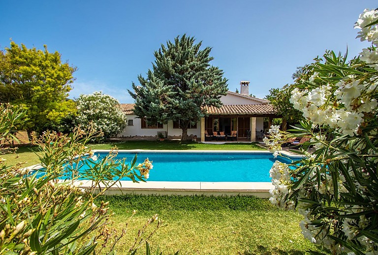 Garten mit Pool Rasen und Pflanzen