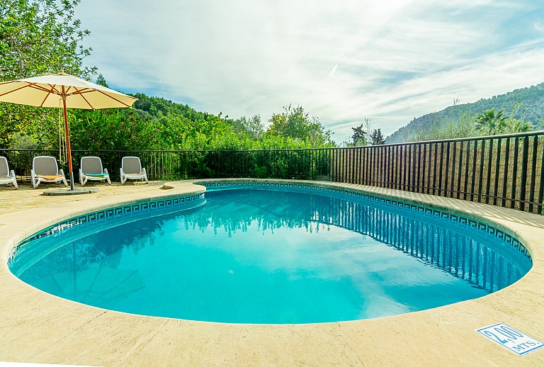 Ausblick vom Poolbereich mit Bäumen und Sonnenliegen