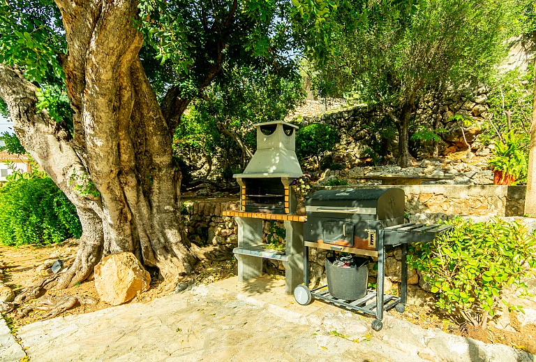 Grillbereich unter einem Baum