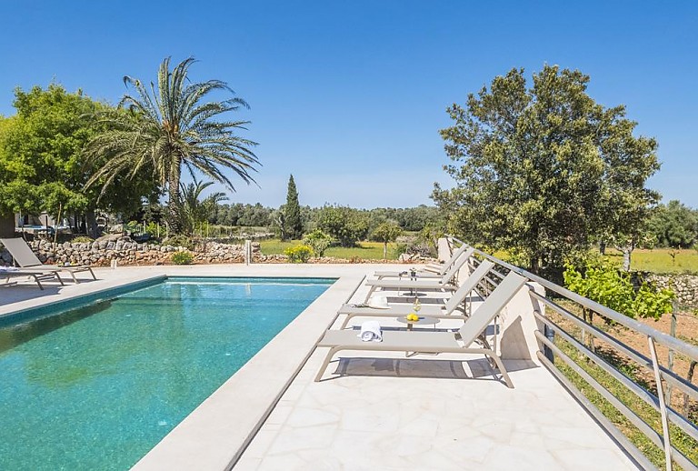 Bäume am Pool mit Sonnenliegen und Sonnenschirm