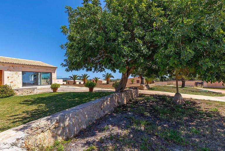 Garten mit Rasen und Baum vor der Finca