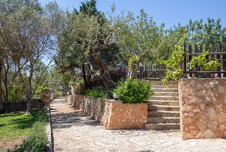 Garten mit Mauern und Pflanzen