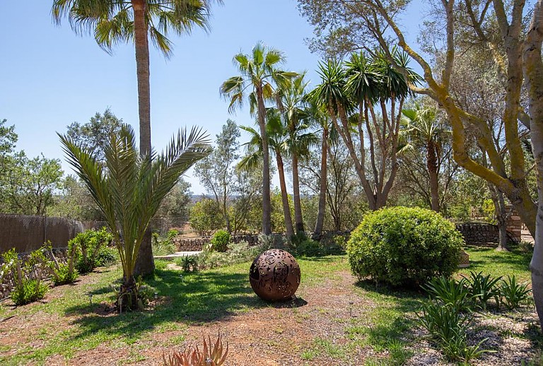 Garten mit Palmen und Pflanzen 