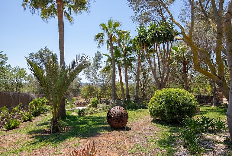 Garten mit Palmen und Pflanzen