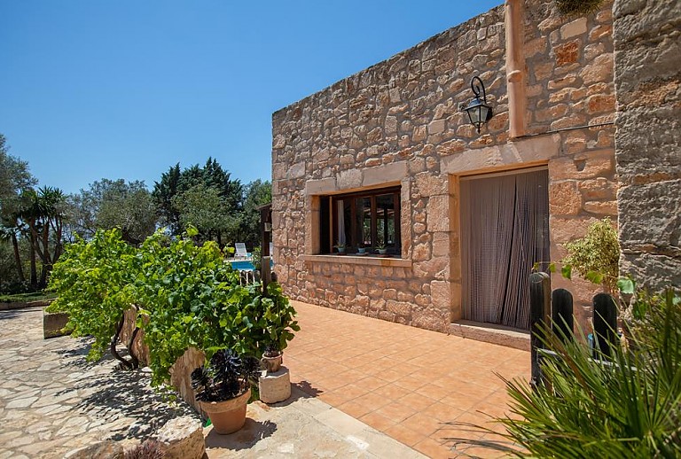 Topfpflanzen an der Finca