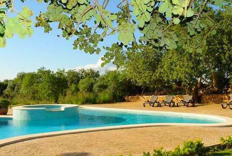 Bäume und Poolliegen am Schwimmbecken