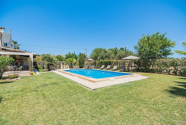 Rasen am Pool mit Sonnenliegen