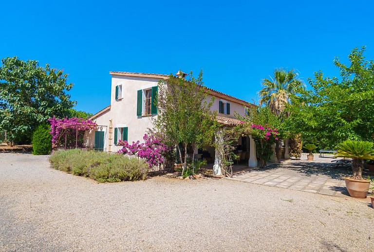 Finca mit Pflanzen und Bäumen