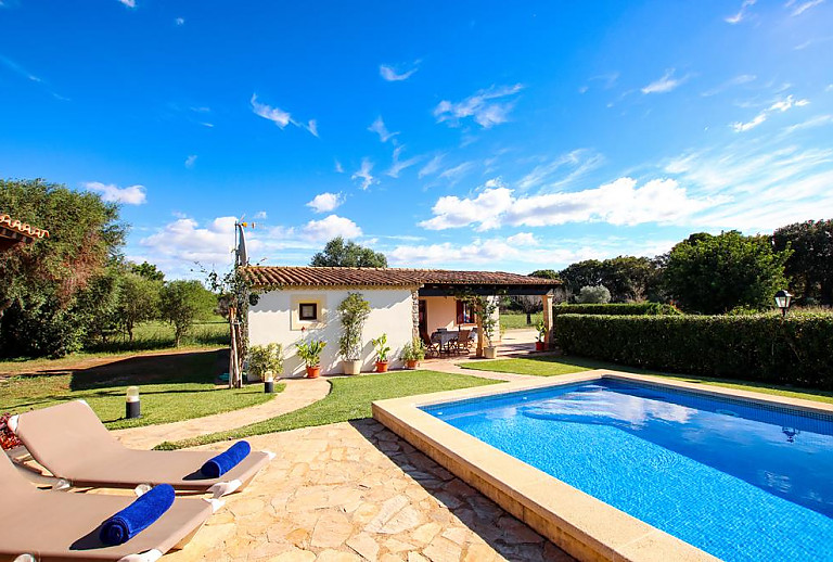 Topfpflanzen und Rasen am Pool