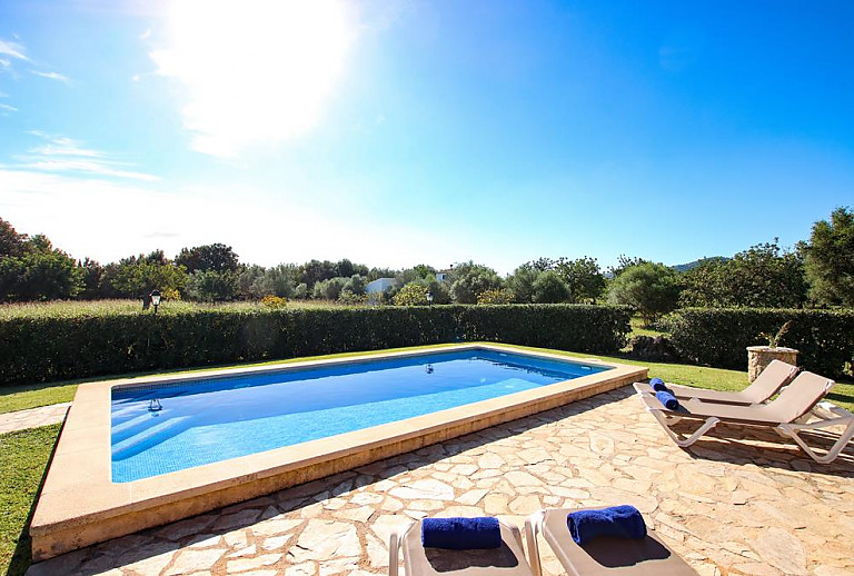 Garten mit Rasen und Hecke am Poolbereich