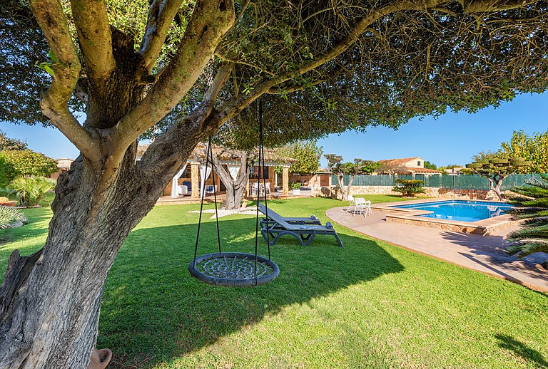 Baum mit Schaukel auf dem Rasen am Pool