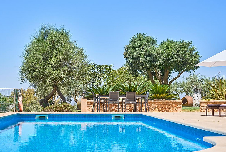 Pool und Terrasse mit Esstisch