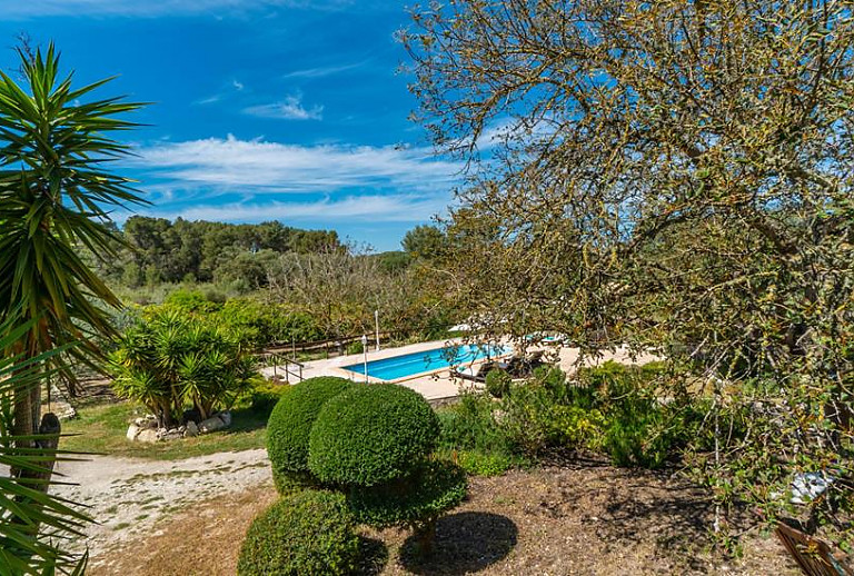 Garten mit Pflanzen und Pool