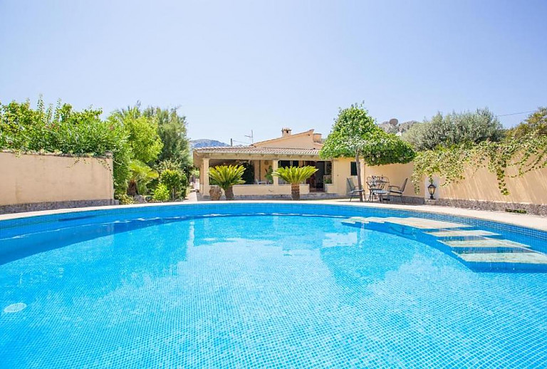 Pool im Garten mit Palmen