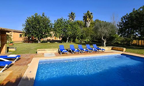 Garten mit Bäumen und Pool