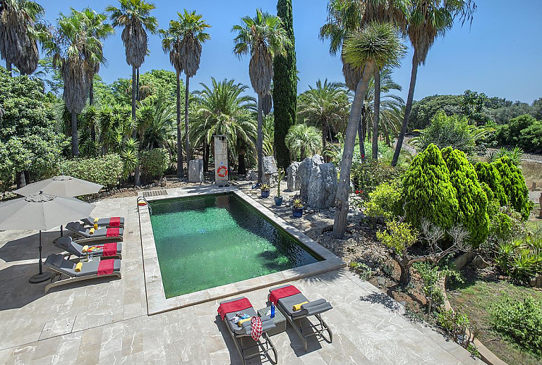Garten mit Palmen und Pool