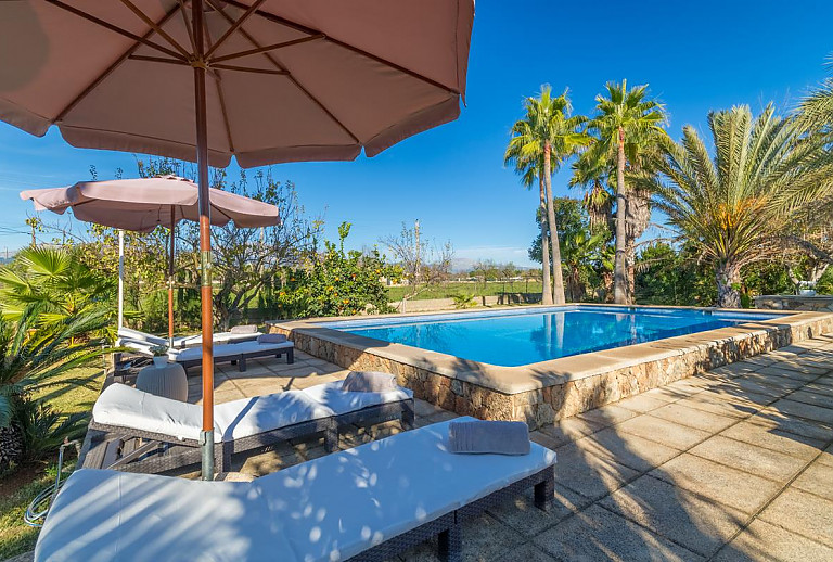 Garten mit Sonnenliegen und Pool