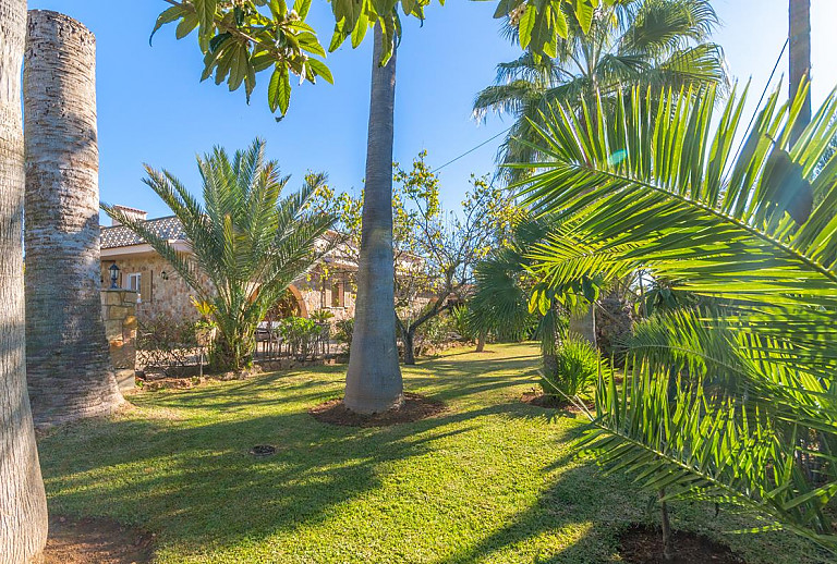 Palmen im Garten neben der Finca