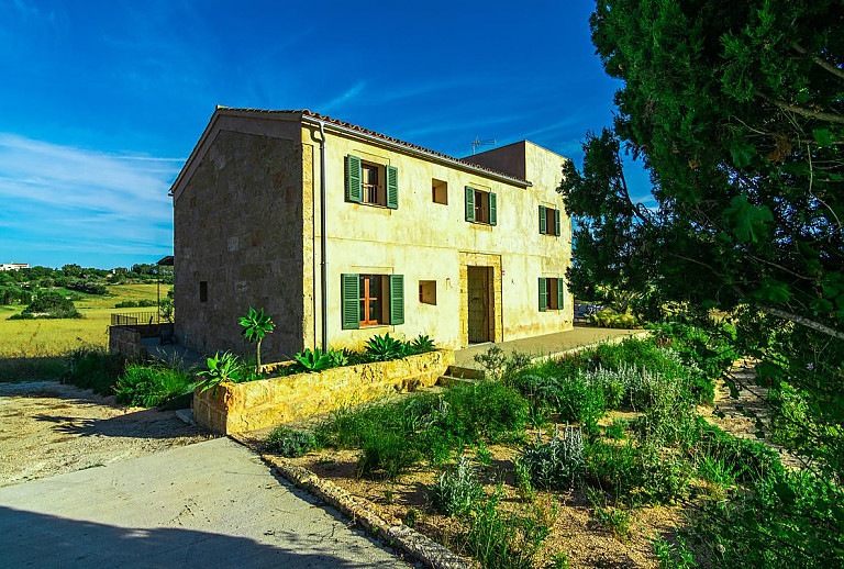 Bäume und Pflanzen vor der Finca