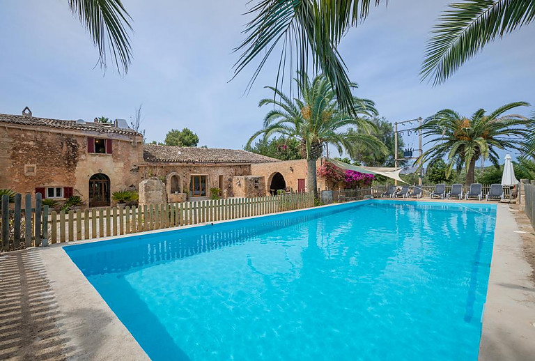 Poolbereich mit Sonnensegel und Palmen