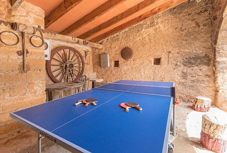 Tischtennisplatte auf einer überdachten Terrasse