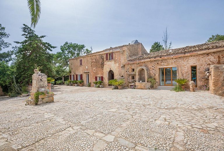 Hof mit Topfpflanzen und Bäumen