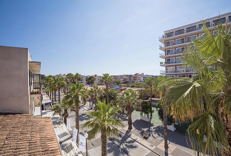 Straße mit Palmen vor der Wohnung