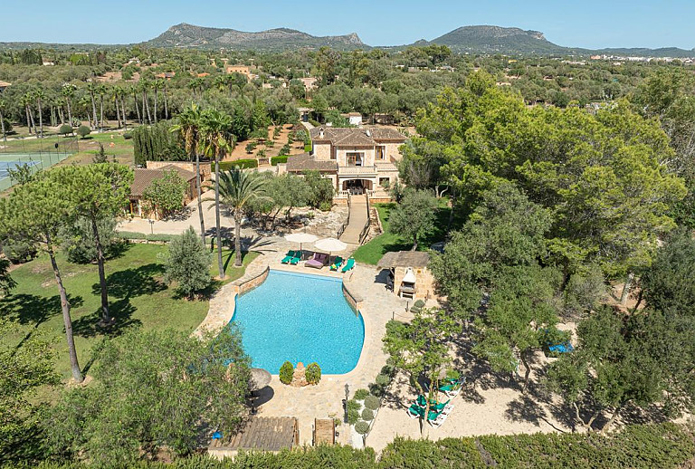 Garten mit Rasen Palmen und Pool