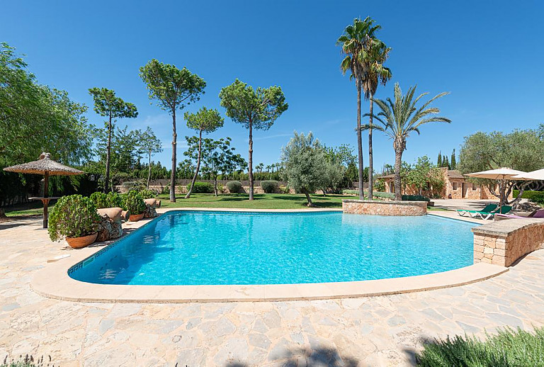 Palmen und Topfpflanzen am Pool