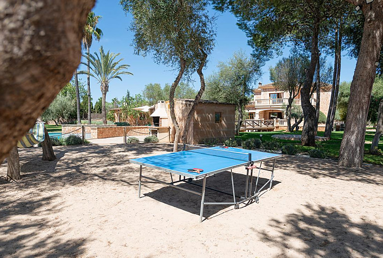 Tischtennisplatte im Garten unter den Bäumen