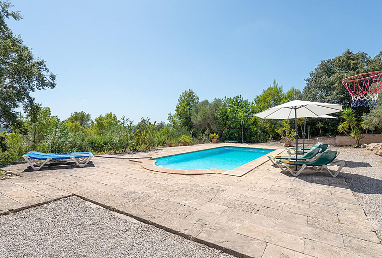 Topfpflanzen am Pool mit Sonnenschirmen