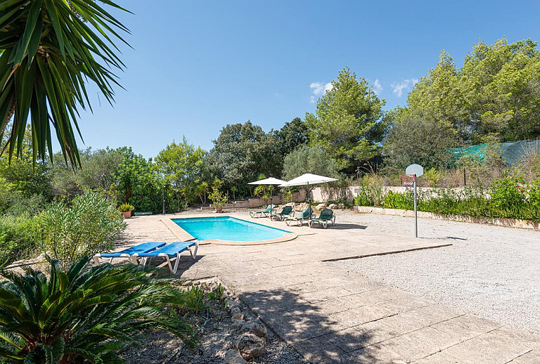 Basketballkorb am Pool 