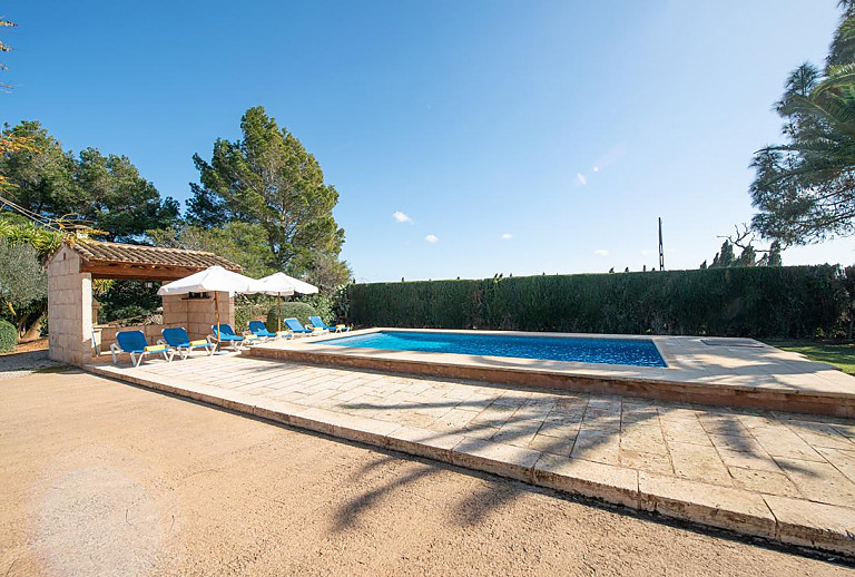 Hecke am Pool mit Sonnenliegen