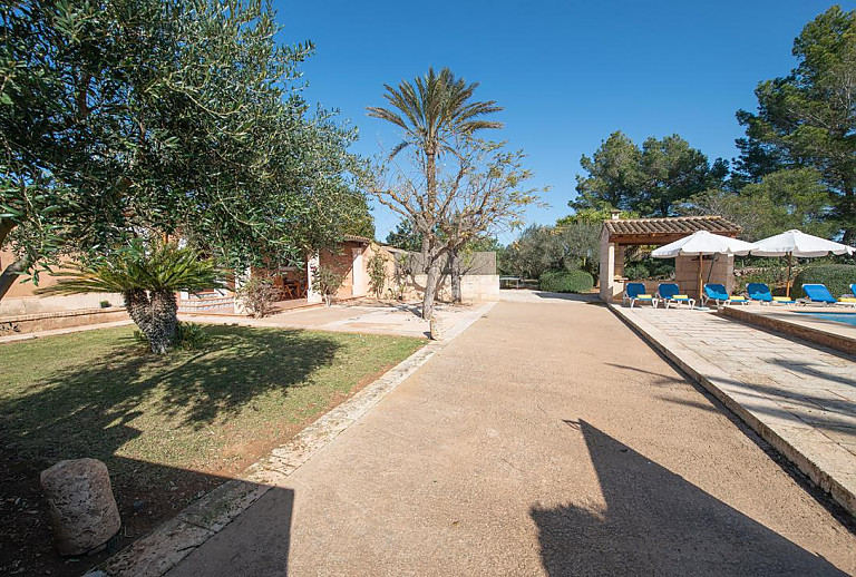 Rasen und Bäume vor der Finca