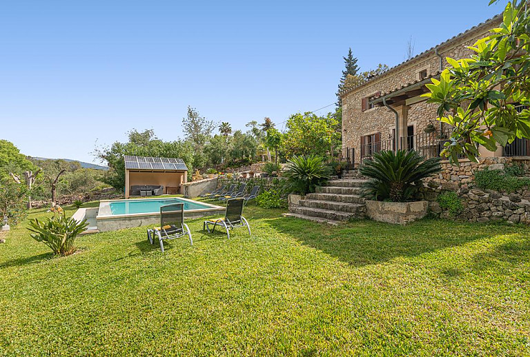 Palmen und andere Pflanzen im Garten