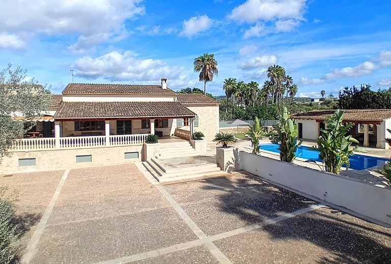 Palmen und rasen am Pool