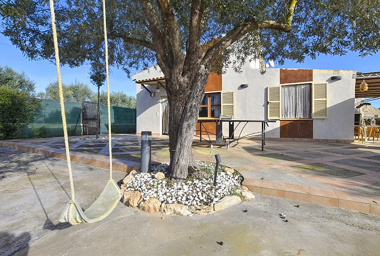 Schaukel am Baum neben der Tischtennisplatte