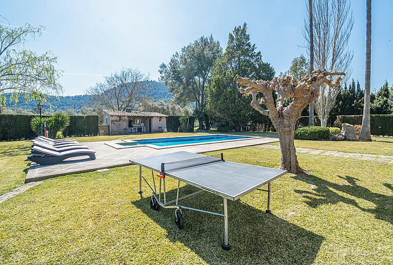 Tischtennisplatte auf dem Rasen am Pool