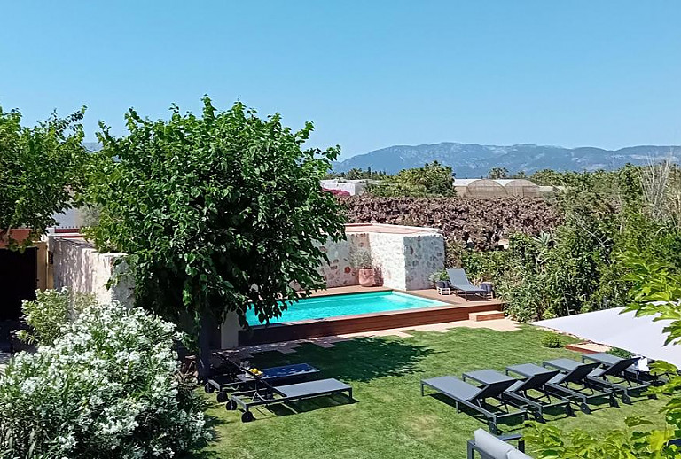 Rasen mit Poolliegen im Garten am Pool