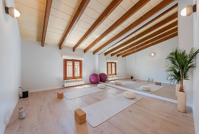 Yogaraum mit Topfpflanze
